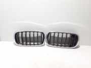 Kühlergrill oben BMW X5 (F15, F85) 7316076