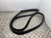 Türgummi rechts vorne BMW 5er Gran Turismo (F07) 7196350