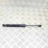 Heckklappe Gasdruckfeder rechts TESLA MODEL 3 EV Performance AWD 1091560-00-B