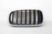 Kühlergrill oben BMW X5 (F15, F85) 7316075
