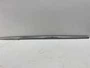 Zierleiste VW Phaeton (3D)