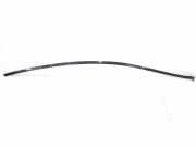 Rechte Dachleistenverkleidung MERCEDES-BENZ CLS (C218) CLS 350 CDI (218.323) A2186900282