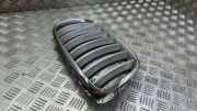 Vorderer oberer Gitter BMW X5 (E70) 3.0 d 51317157688