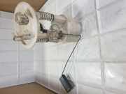 Kraftstoffstandsensor RENAULT MEGANE Scenic (JA0/1_) 1.9 dTi (JA0N) 56100010 7700422039B