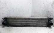 Ladeluftkühler Nissan Interstar Kasten (X70) IA1074867658F