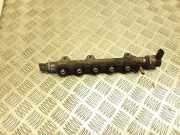 Kraftstoffzuführung NISSAN X-TRAIL (T31) 2.0 dCi 0445214155 8200718753