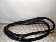 Türdichtung BMW 5er (F10)