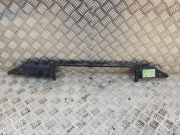 Anzeigetafel Rahmen BMW X5 (E53) 3.0 d 1439117 17111439117