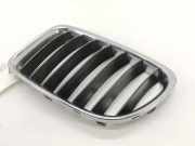Vorderer oberer Gitter BMW X1 (E84) sDrive 20 d 51112993307