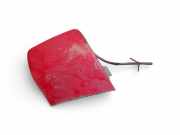 Abdeckung Abschlepphaken Skoda Octavia II (1Z) 1Z5807441A