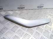 Türpolsterverkleidung vorne rechts FORD KUGA I 2.0 TDCi 7M518V4124184