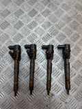 Einspritzventil Set OPEL INSIGNIA A (G09) 2.0 CDTI (68) 0445110423