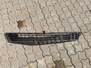 Gitter vorne unten MERCEDES-BENZ B (W245) B 180 CDI (245.207) 210000033