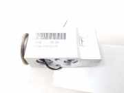 A/C Conditioner Expansion Valve NISSAN NP300 NAVARA (D40) 3.0 dCi 4WD 4NAH19849AA