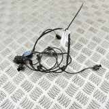 Kabelbaum Hinteren Parksensoren AUDI A3 Limousine (8YS) S3 quattro 8Y5971104AG