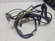 SONSTIGE KABELBÄUME CITROËN C4 Picasso I (UD_) 1.6 HDi 110 9672561180
