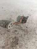 Auspuffhalter VOLVO V70 II (SW) 2.4 D5 09492157