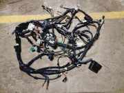 Kabel Motor Renault Kadjar (HA, HL) 403882317R