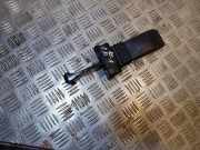 Türanschlag vorne rechts