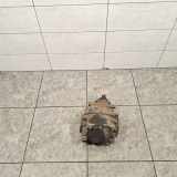 Hinterachsgetriebe Mercedes-Benz SL (R230) A2303510105