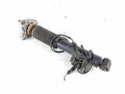 Stoßdämpfer hinten rechts BMW X6 (F16, F86) xDrive 40 d 6875088