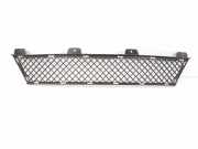 Kühlergrill oben BMW Z4 (E89) 7203790