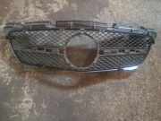 Vorderer oberer Gitter MERCEDES-BENZ SLK (R172) 300 (172.438) A1728880160