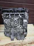 Motor BMW 5 Touring (F11) 523 i B47D20A