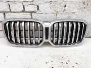 Gitter Grill vorne links BMW X3 (G01, F97, G08) M40 i xDrive 40505404DE