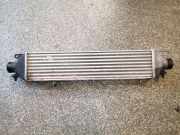 Ladeluftkühler FIAT DOBLO Cargo (223_) 1.3 JTD 16V 866455506