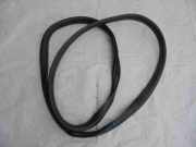 Türdichtung Renault Megane III Schrägheck (BZ)