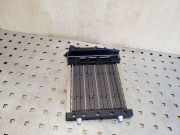 Elektrischer Schulterschulterkühler MERCEDES-BENZ A (W169) A 180 CDI (169.007, 169.307) A1698300261