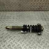 Stoßdämpfer rechts hinten Ferrari California () 462400005096