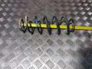 Schraubenfeder hinten links VW BEETLE (9C1, 1C1) 1.9 TDI