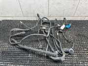 Kabelbaum Vorderen Parksensoren MERCEDES-BENZ C (W205) C 200 (205.042) A2055406300