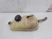 Ausgleichsbehälter CITROËN BERLINGO (MF) 2.0 HDI 90 (MFRHY)