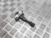 Türanschlag hinten links