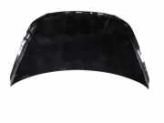 Motorhaube AUDI Q5 (8R) 2.0 TDI quattro 8R0823029