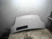 Motorhaube Opel Vivaro A Combi (X83)