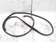 Türgummi links vorne Renault Trafic III Kasten (FG)