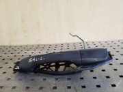 Türaußengriff hinten links