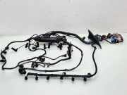 Motor Kabelbaum BMW X5 (E70) 3.0 d 12517802264