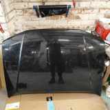 Motorhaube Nissan Pathfinder III (R51) GN0K