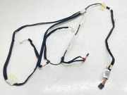 Kabelbaum RENAULT MEGANE III Grandtour (KZ0/1) 1.2 TCe 120320152004 241603852R