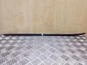 Zierleiste Windschutzscheibe Frontscheibe VW PASSAT B7 (362) 2.0 TDI 3C0854328B