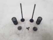 Auslassventil Opel Insignia A (G09)