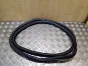 Türdichtung Audi A6 Allroad (4G)