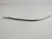 Front Bumper Center Moulding SKODA OCTAVIA IV (NX3, NN3) 1.0 TSI 5E3853768B