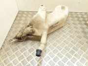 Fensterwaschtank FIAT DOBLO Cargo (223_) 1.3 D Multijet