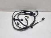 Kabelbaum Hinteren Parksensoren